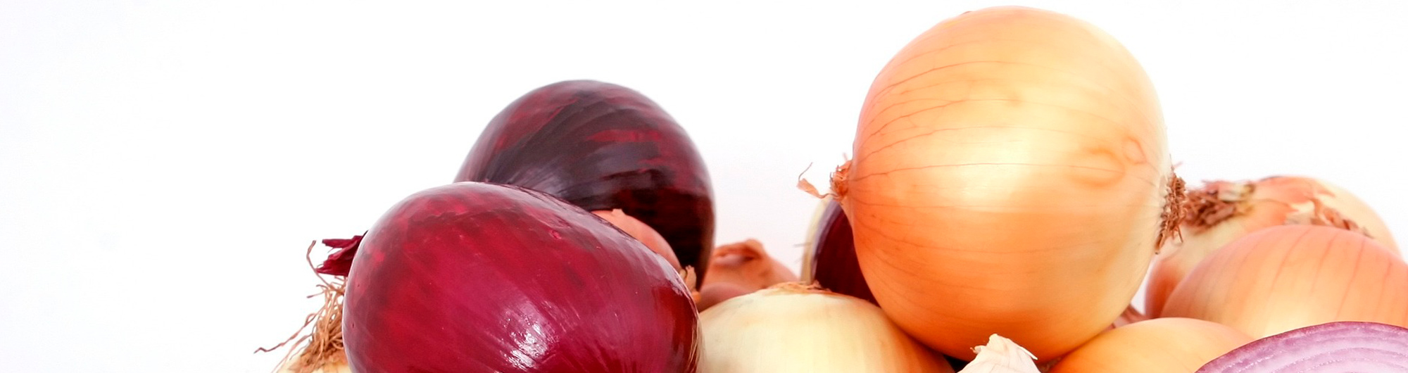 Comercialización de frutas y verduras, comercio de cebollas españa, comercio de cebollas nacional españa, comercio de sandias españa, comercio nacional de sandias